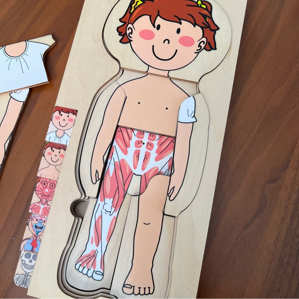 Kids Anatomy Wooden Puzzle Toy - Picture 4 of 7